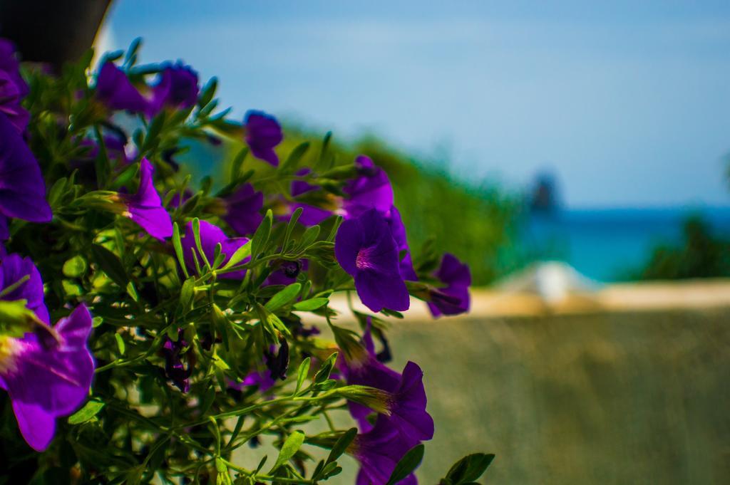 Agathi Beach House Agios Gordios  Buitenkant foto